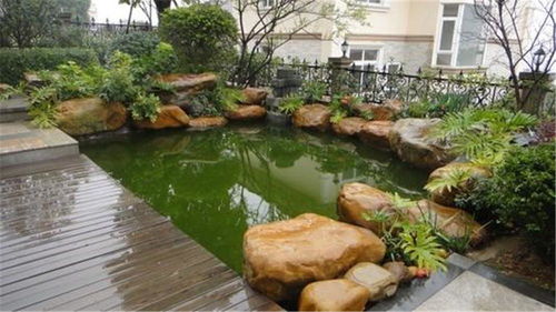 魚池假山設(shè)計(jì)圖,庭院魚池假山設(shè)計(jì),廣通園林