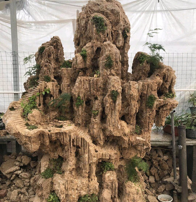 直擊:假山盆景的制作過(guò)程,你喜歡這種盆景嗎?